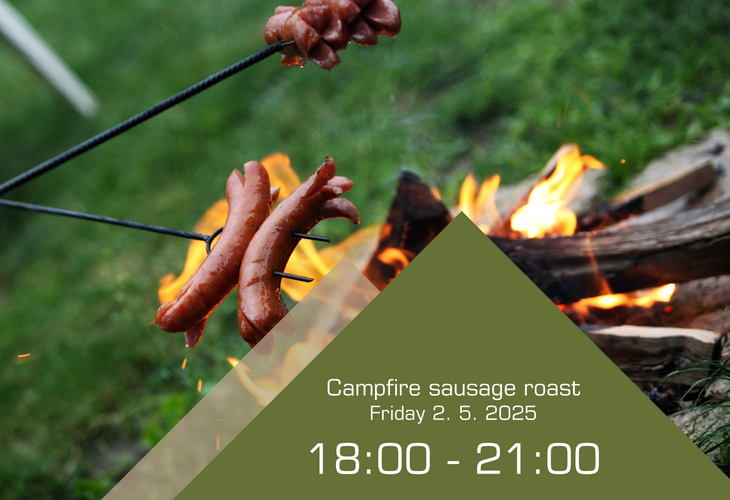 Campfire sausage roast