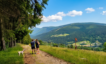 Oferta letnia – 15% zniżki i inne korzyści