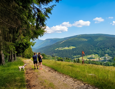 Letní nabídka - 15% sleva a další výhody